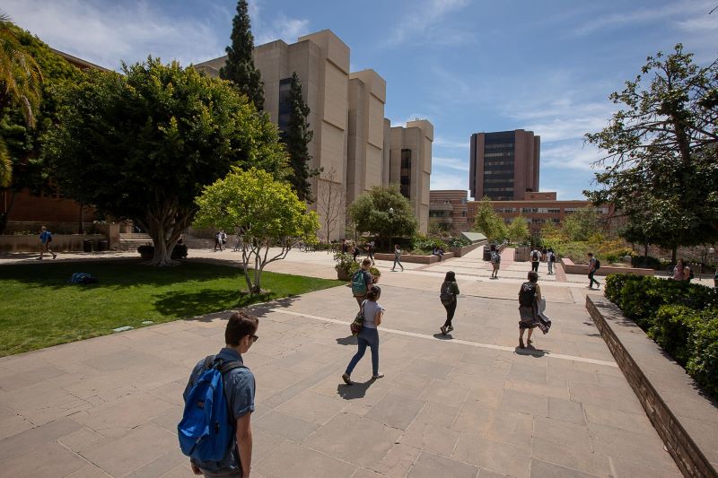 ucla court of sciences