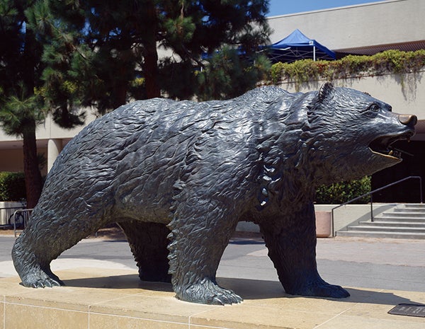 bruin bear statue